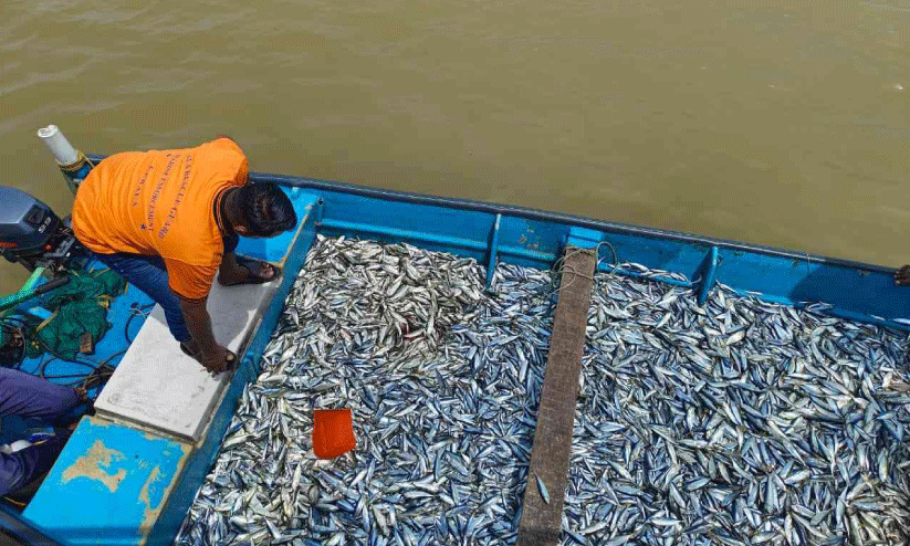 നിയമം ലംഘിച്ച് മത്സ്യബന്ധനം; ബോട്ടുകൾ പിടിച്ചെടുത്തു നിയമം ലംഘിച്ച് മത്സ്യബന്ധനം; ബോട്ടുകൾ പിടിച്ചെടുത്തു