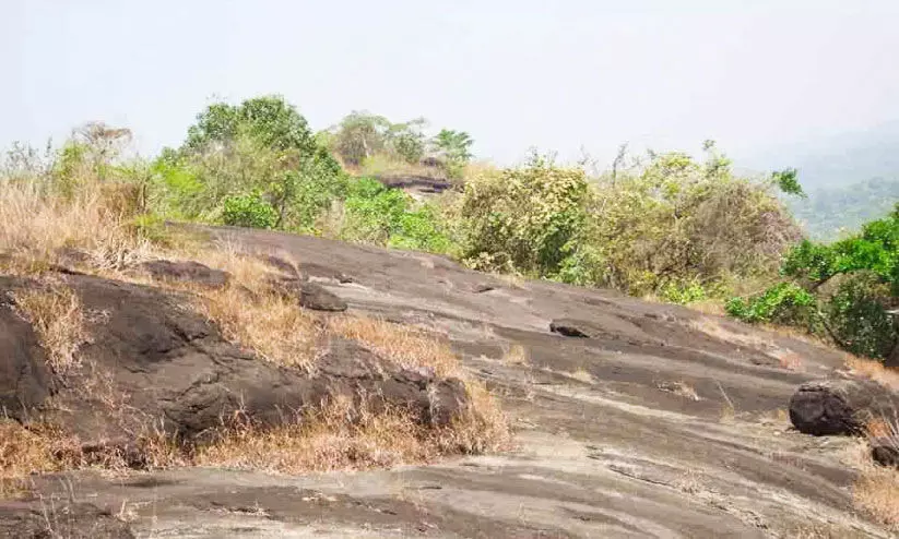 പാഴ്​വാക്കായി പോയാലി ടൂറിസം പദ്ധതി