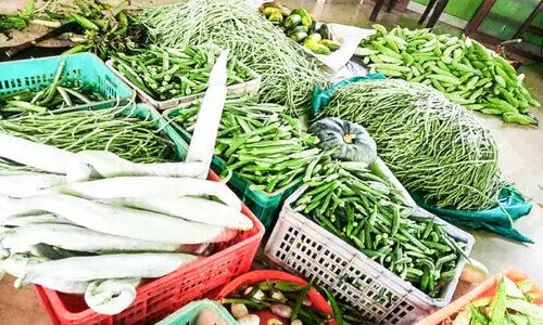 കാർഷിക ഉൽപന്നങ്ങളുമായി ആലപ്പുഴ ജില്ല കൃഷിത്തോട്ടമൊരുങ്ങി