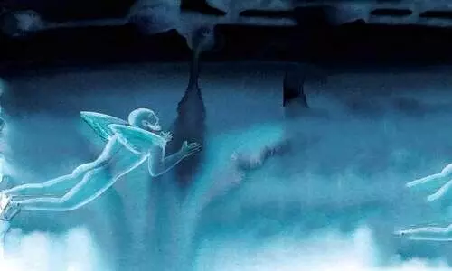 പക്ഷിയിനം പുരുഷൻ പക്ഷിയിനം പുരുഷൻ