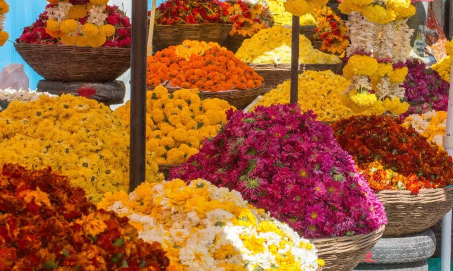 ഇന്ന്​ അത്തം; ഇനി പത്തുനാൾ മലയാളമനസ്സ്​​ ആഘോഷത്തിന്‍റെ നിറവിൽ