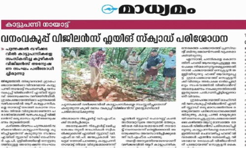 കാ​ട്ടു​പ​ന്നി നാ​യാ​ട്ട് നി​യ​മാ​നു​സൃ​ത​മ​ല്ലെ​ന്ന് ഡി.​എ​ഫ്.​ഒ​യു​ടെ അ​ന്വേ​ഷ​ണ റി​പ്പോ​ർ​ട്ട്