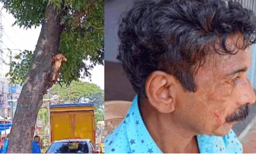 മരശിഖരത്തിൽ വാനിടിച്ച് ക്ലീനർക്ക് പരിക്ക്