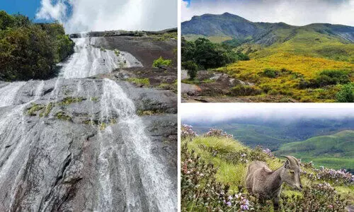 സ​ഞ്ചാ​രി​ക​ളു​ടെ ‘ആ​ന​മു​ടി’; ഈ ദേശീയോദ്യാനം വരയാടുകളുടെ ആവാസഭൂമി...