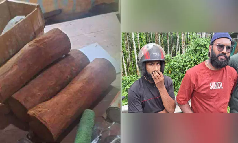 Red sandalwood seized Red sandalwood seized