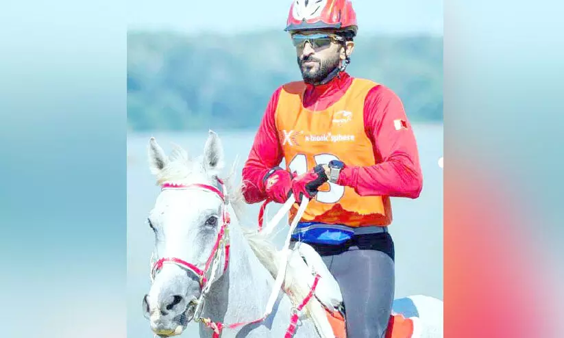 world endurance championship