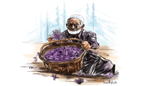 Jammu and Kashmir Election