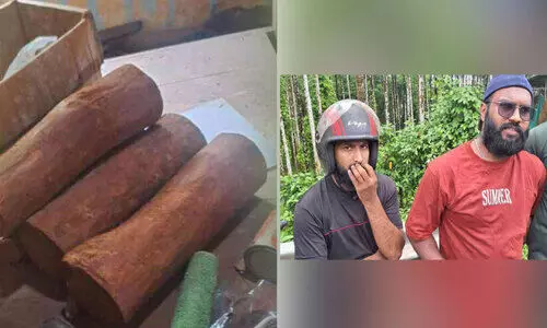 Red sandalwood seized Red sandalwood seized