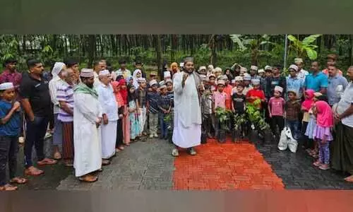 മസ്ജിദിന്റെയും മദ്രസയുടെയും പരിസരങ്ങളിൽ ഫലവൃക്ഷത്തൈകൾ നട്ട് നൂറുൽ ഹുദാ മദ്രസ വിദ്യാർഥികൾ