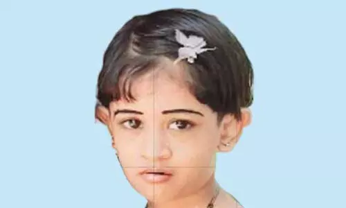 വീണ്ടും വില്ലനായി റംബുട്ടാൻ കുരു; തൊണ്ടയിൽ കുരുങ്ങി ബാലിക മരിച്ചു