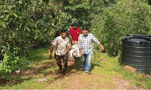 ഗ​താ​ഗ​ത സൗ​ക​ര്യ​മി​ല്ല; രോ​ഗി​യെ ആ​ശു​പ​ത്രി​യി​ലെ​ത്തി​ച്ച​ത് ചു​മ​ന്ന്