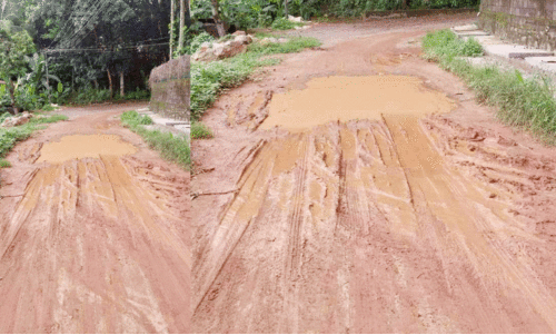 അധികൃതരുടെ അനാസ്ഥയിൽ റോഡ്​ നിർമാണം മുടങ്ങി; ജനം ദുരിതത്തിൽ