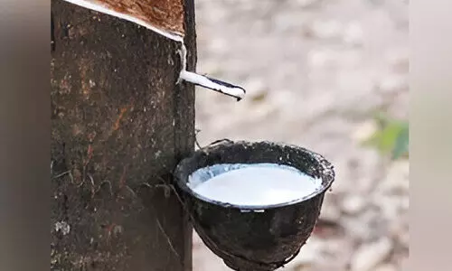 റബർ വിലയിൽ വീണ്ടും ഇടിവ്