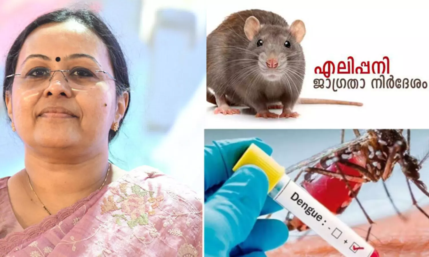 ഡെങ്കിപ്പനിക്കും എലിപ്പനിക്കുമെതിരെ ജാഗ്രത തുടരണം- വീണ ജോര്‍ജ്