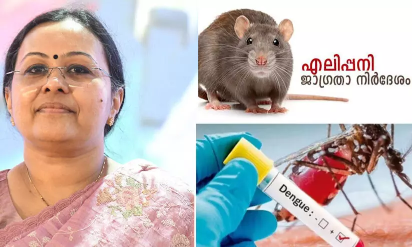 ഡെങ്കിപ്പനിക്കും എലിപ്പനിക്കുമെതിരെ ജാഗ്രത തുടരണം- വീണ ജോര്ജ് ഡെങ്കിപ്പനിക്കും എലിപ്പനിക്കുമെതിരെ ജാഗ്രത തുടരണം- വീണ ജോര്ജ്