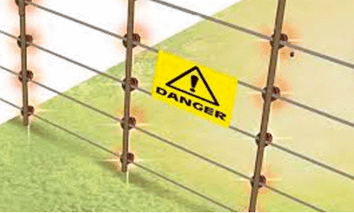 Illegal electric fence