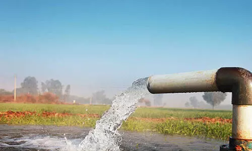 കോ​ള​ക്കാ​ട്ടു​പാ​ട​ത്തെ ക​ർ​ഷ​ക​ർ​ക്ക് ആ​ശ്വാ​സം; തോ​ടു​കീ​റി ജ​ല​സേ​ച​നം ന​ട​ത്താ​ൻ തീ​രു​മാ​നം