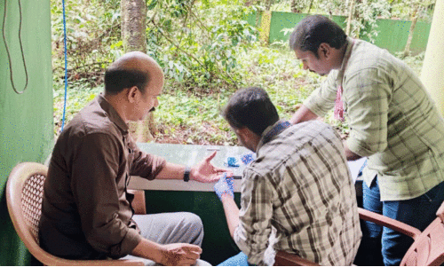 കു​ര​ങ്ങ​ുകൾ ച​ത്ത സം​ഭ​വം; മ​ലേ​റി​യ കൊ​തു​കു​ക​ളു​ടെ സാ​ന്നി​ധ്യം ക​ണ്ടെ​ത്തി