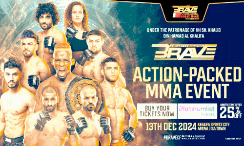 World Mixed Martial Arts Championship