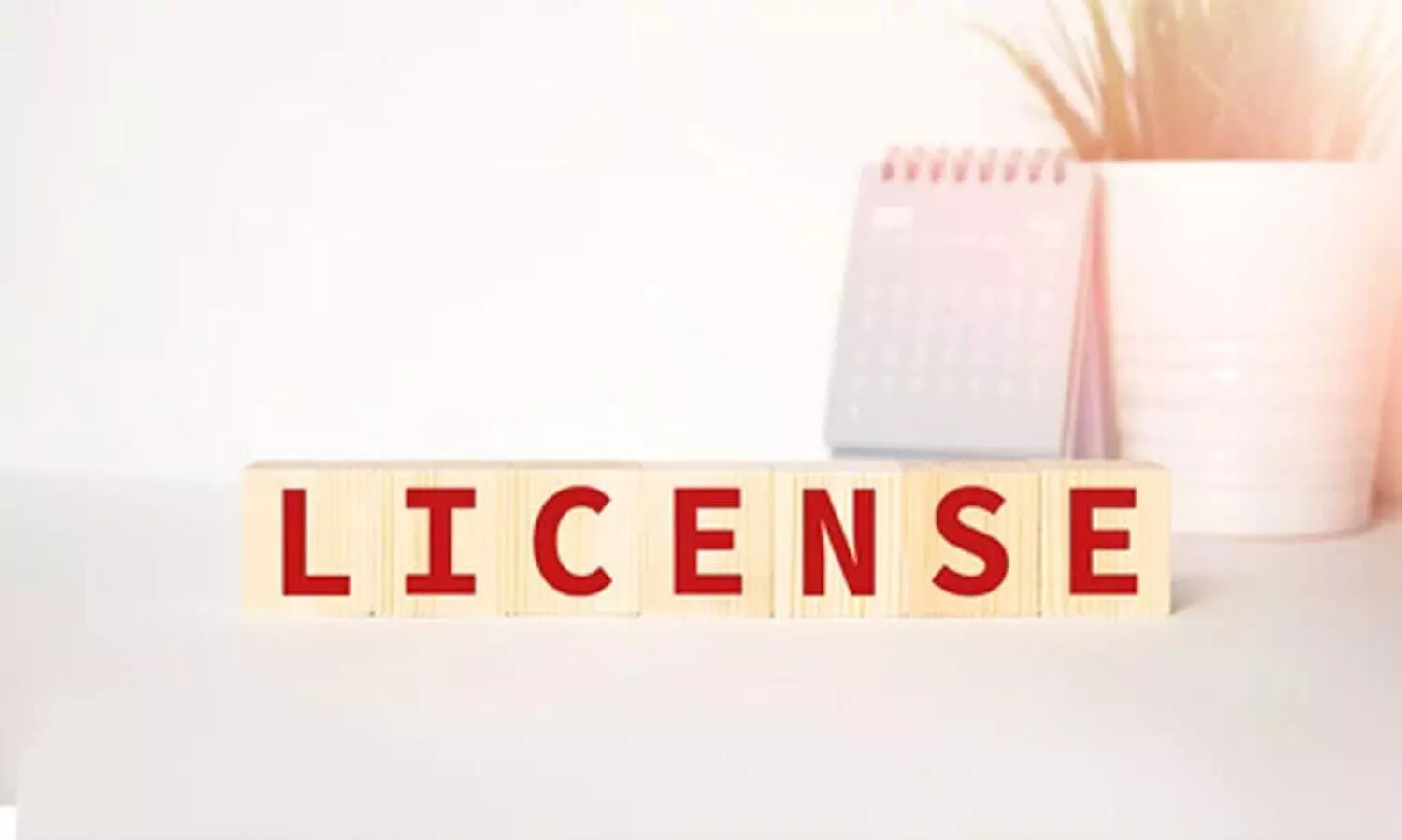 പന്തളം നഗരസഭ; കെട്ടിട ലൈസൻസ് പുതുക്കി നൽകാൻ മന്ത്രിയുടെ നിർദേശം
