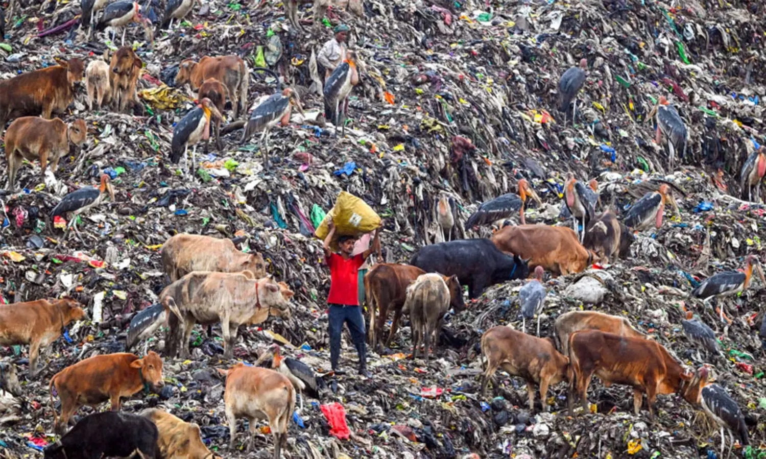 ഉപഭോഗ സംസ്കാരവും കാലാവസ്ഥാ പ്രതിസന്ധിയും മനുഷ്യരാശിക്ക് ഭീഷണി;  പ്രശ്നങ്ങളും പരിഹാരങ്ങളും ചൂണ്ടിക്കാട്ടി പഠന സംഘം