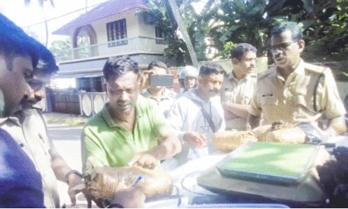 നാല് കിലോ കഞ്ചാവുമായി ഇതര സംസ്ഥാന തൊഴിലാളി പിടിയിൽ