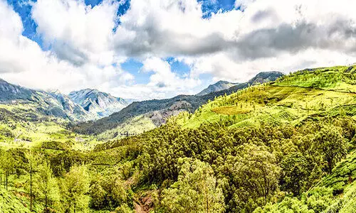 ചന്ദനം മണക്കുന്ന മറയൂർ ചന്ദനം മണക്കുന്ന മറയൂർ