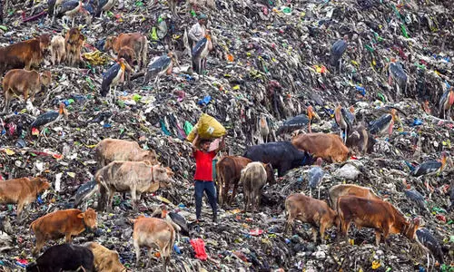 ഉപഭോഗ സംസ്കാരവും കാലാവസ്ഥാ പ്രതിസന്ധിയും മനുഷ്യരാശിക്ക് ഭീഷണി;  പ്രശ്നങ്ങളും പരിഹാരങ്ങളും ചൂണ്ടിക്കാട്ടി പഠന സംഘം