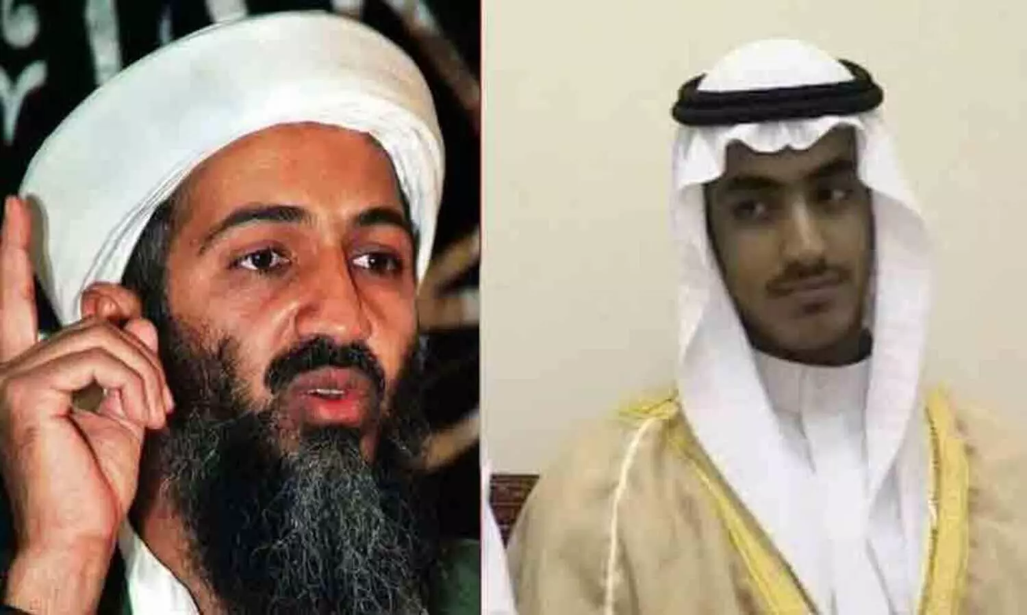 Osama Bin Laden, Hamza Bin Laden