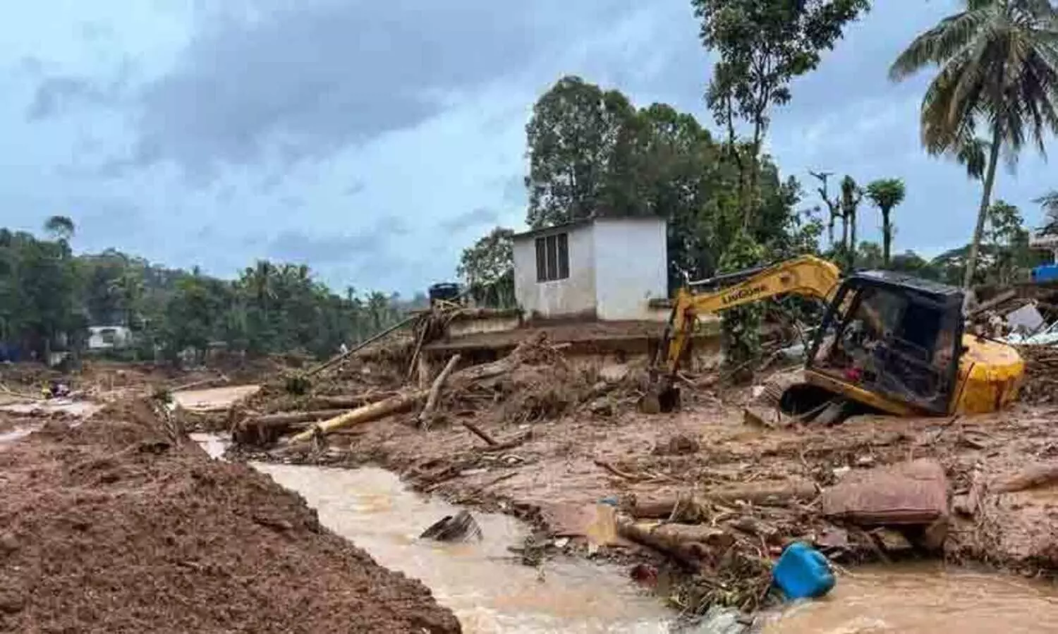 വയനാട് ദുരന്തം: തിരച്ചിൽ തുടരുന്നുവെന്ന് സർക്കാർ ഹൈകോടതിയിൽ