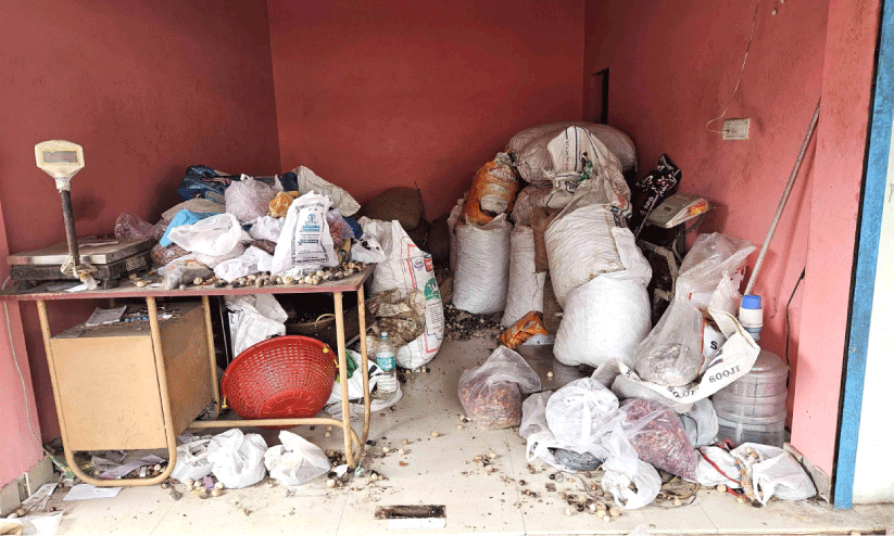 പുതിയകാവിൽ വ്യാപാര സ്ഥാപനം കുത്തിത്തുറന്ന് ലക്ഷങ്ങളുടെ മലഞ്ചരക്ക് കവർന്നു പുതിയകാവിൽ വ്യാപാര സ്ഥാപനം കുത്തിത്തുറന്ന് ലക്ഷങ്ങളുടെ മലഞ്ചരക്ക് കവർന്നു