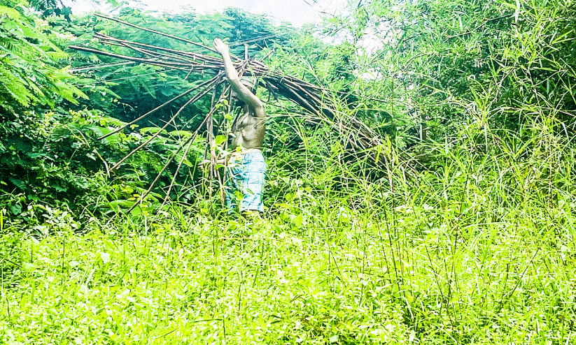 ഓണപ്പൊലിമയിലും നിറം മങ്ങി നെയ്യാർഡാം