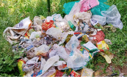 നാ​ട്ടു​കാ​ർ ഇ​ട​പെ​ട്ടു; മാ​ലി​ന്യം ത​ള്ളി​യ​യാ​ളെ പി​ടി​കൂ​ടി