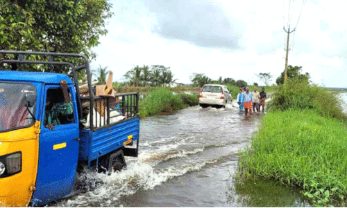 700 ഏ​ക്ക​റി​ൽ നെ​ൽ​കൃ​ഷി​ അ​നി​ശ്ചി​ത​ത്വ​ത്തി​ൽ
