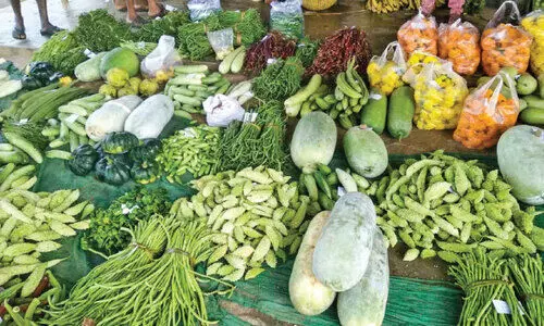 Ayyamkulam farmers market