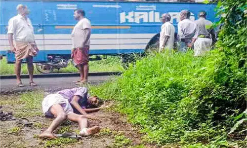 elderly man was bitten by a street dog elderly man was bitten by a street dog