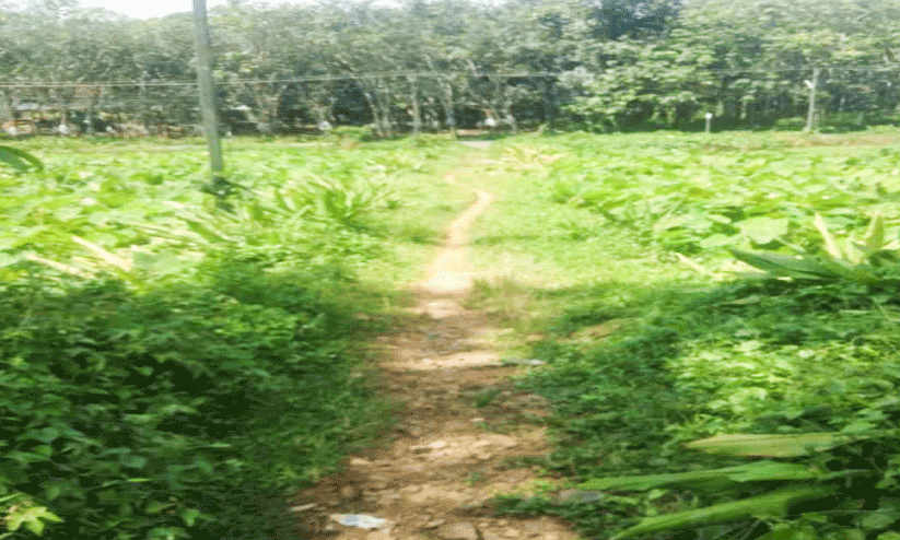 Maliyekal Padi -Thiruvabharana road Maliyekal Padi -Thiruvabharana road