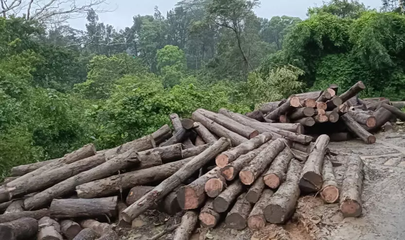 അട്ടപ്പാടിയിൽ വ്യാപകമായി മരം മുറിച്ചു കടത്തുന്നുവെന്ന് പരാതി