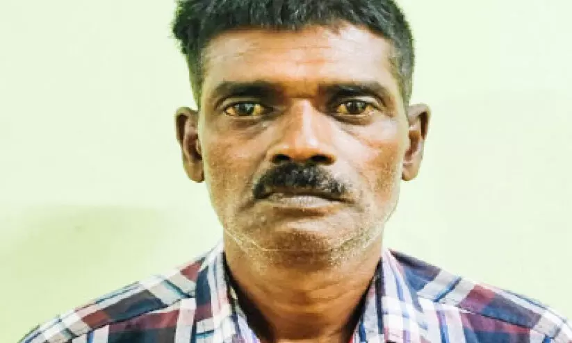 മ​ണി​യ​ൻ