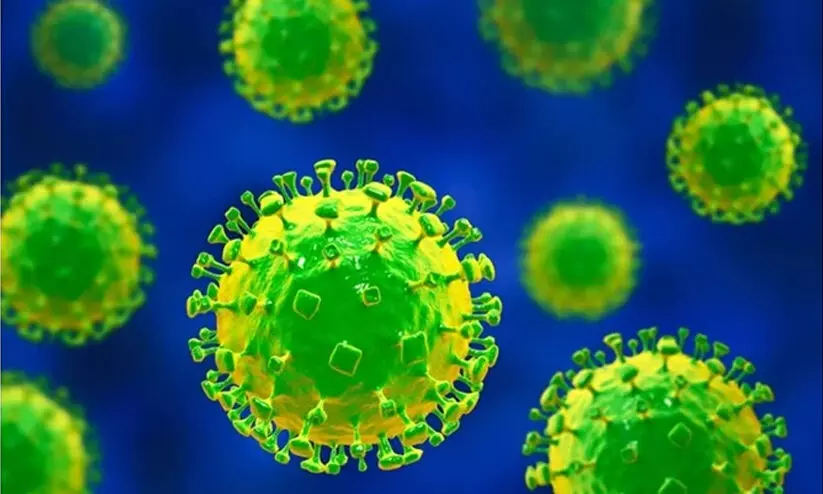 നിപ ബാധിച്ച് മരിച്ച 24കാരൻ നാലു സ്വകാര്യ ആശുപത്രികളില്‍ ചികിത്സ തേടി; തിരുവാലി പഞ്ചായത്തിൽ അതിജാഗ്രത