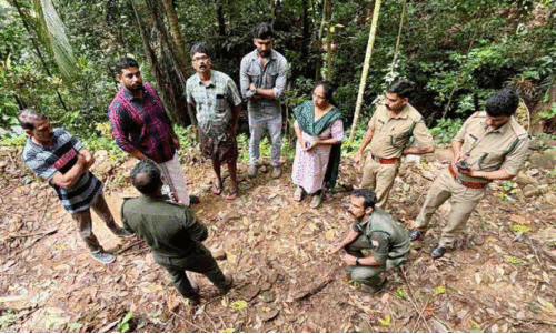 കൂ​മ്പാ​റ ആ​ന​യോ​ട് പു​ലി സാ​ന്നി​ധ്യം; വ​ള​ർ​ത്തു നാ​യെ കൊ​ന്ന​താ​യി സം​ശ​യം