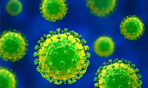 നിപ ബാധിച്ച് മരിച്ച 24കാരൻ നാലു സ്വകാര്യ ആശുപത്രികളില്‍ ചികിത്സ തേടി; തിരുവാലി പഞ്ചായത്തിൽ അതിജാഗ്രത