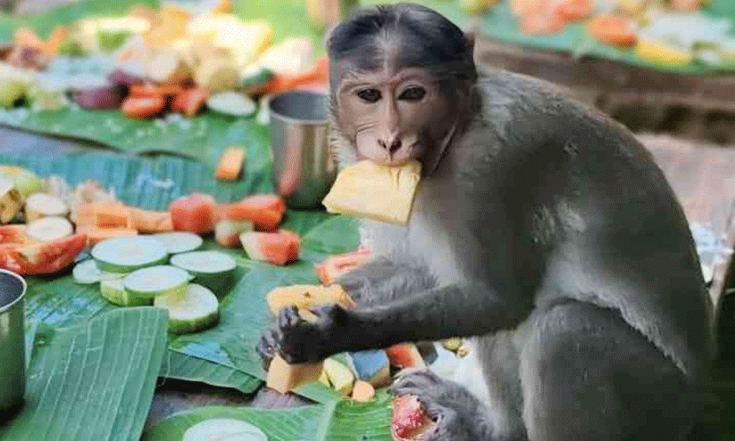 idayilakkad 8786876 idayilakkad 8786876