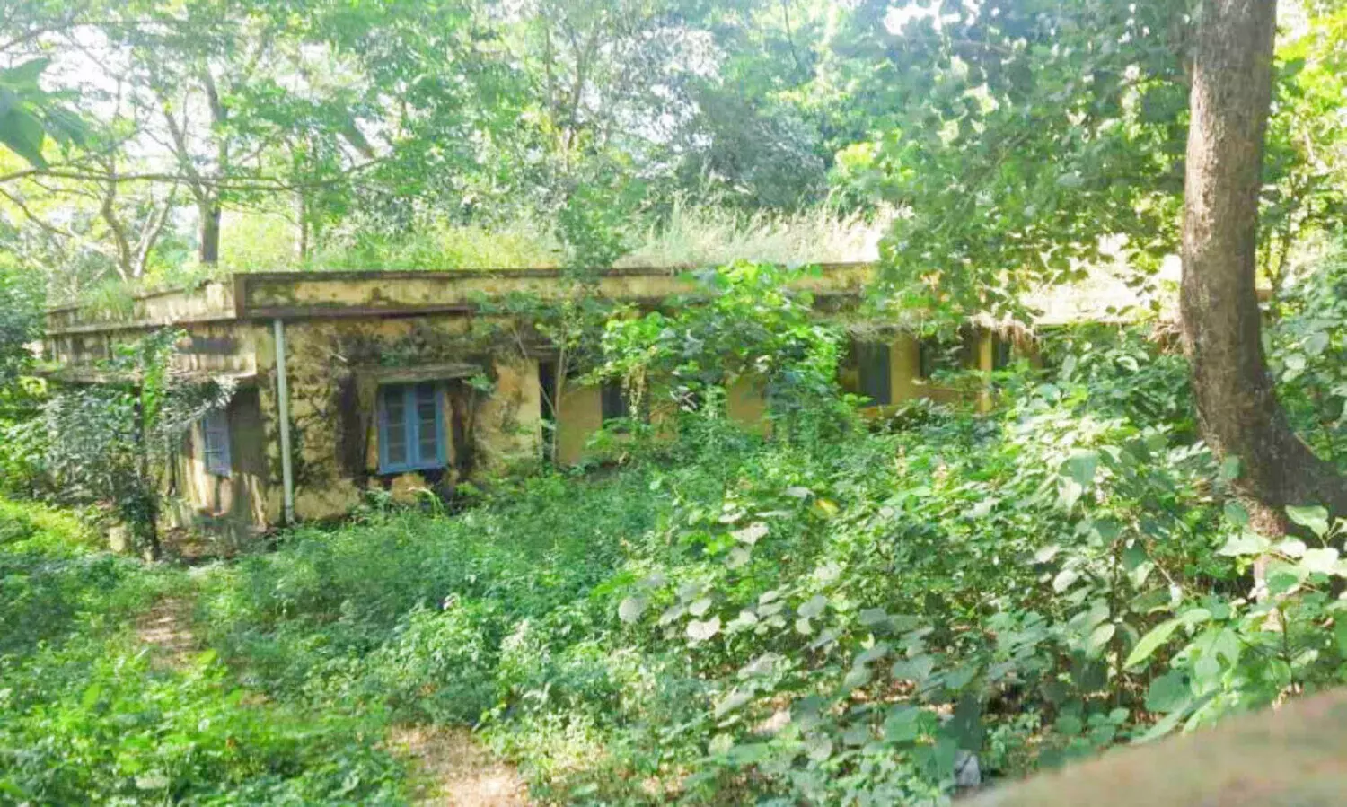 ഒറ്റപ്പാലത്തെ കോടതി സമുച്ചയം പദ്ധതി ഇനി കൈയെത്തും അകലെ