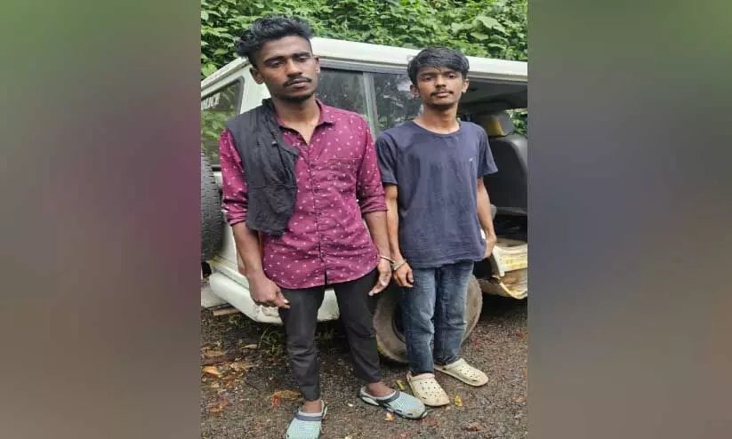 തൊട്ടിൽപാലത്ത്​ ആറുകിലോ കഞ്ചാവുമായി രണ്ടുപേർ പിടിയിൽ