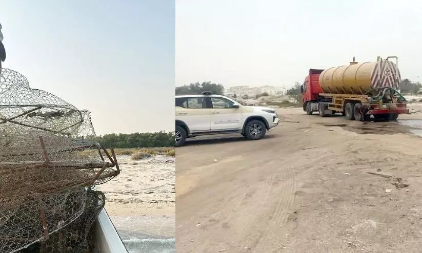 environment environment