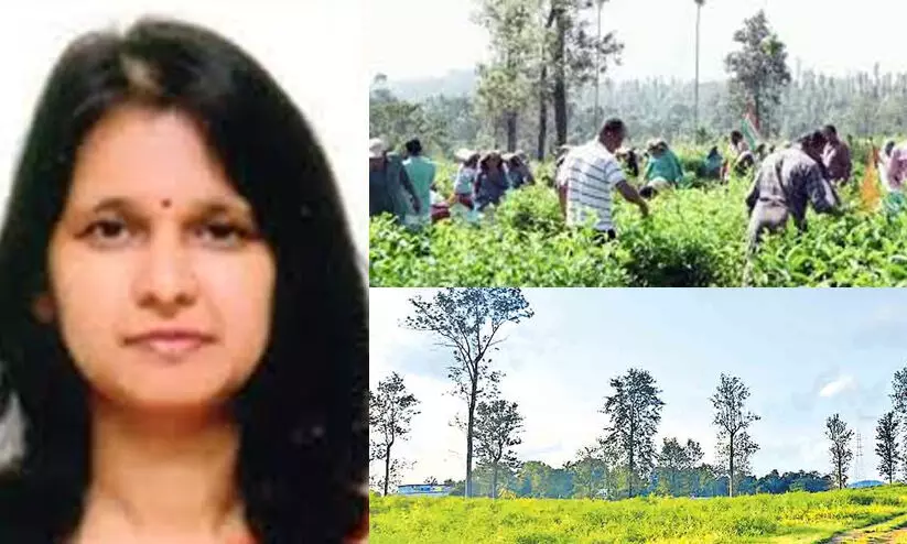 ഉരുൾ പൊട്ടൽ പുനരധിവാസം: സർക്കാർ ഭൂമി സർക്കാർ വിലകൊടുത്ത് ഏറ്റെടുക്കുമോ? ഉരുൾ പൊട്ടൽ പുനരധിവാസം: സർക്കാർ ഭൂമി സർക്കാർ വിലകൊടുത്ത് ഏറ്റെടുക്കുമോ?