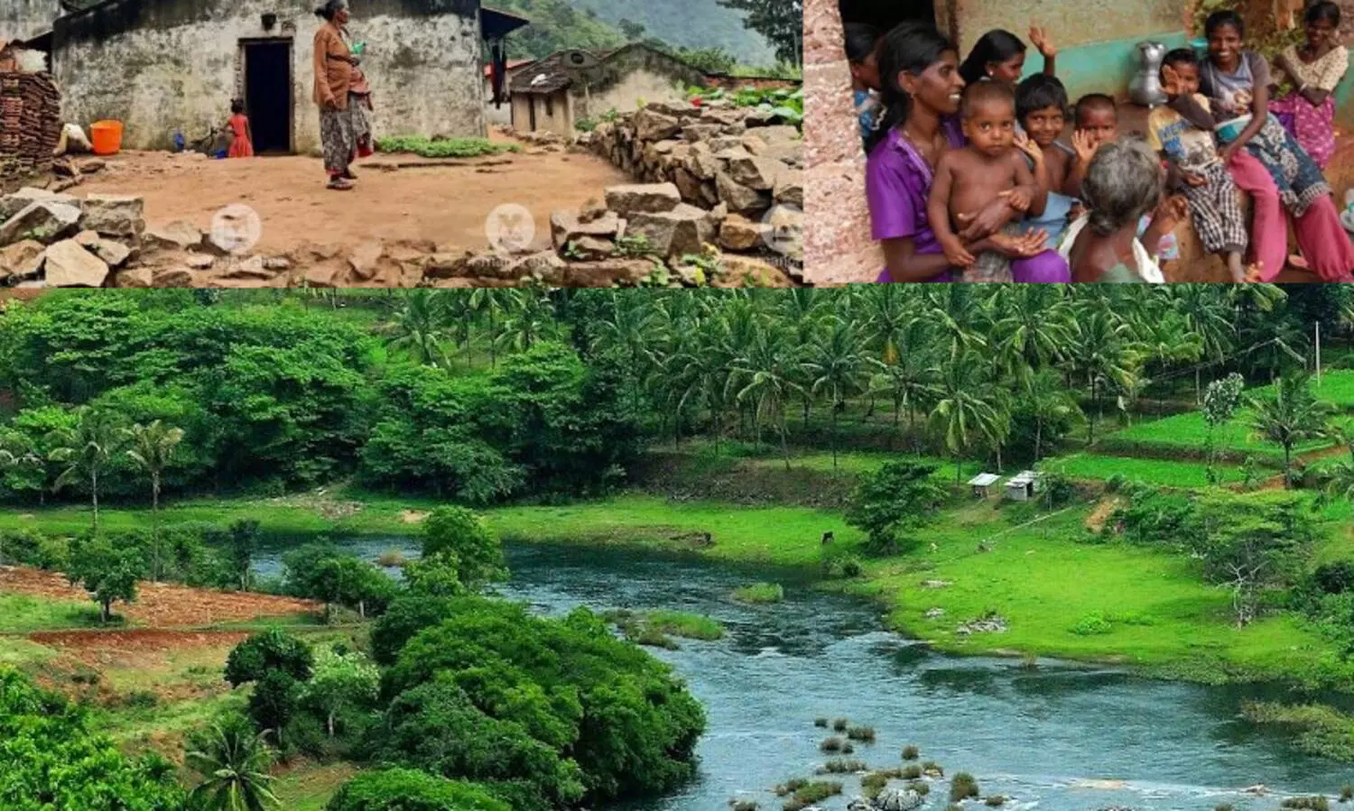 അട്ടപ്പാടിയിൽ ഭൂസർവേക്ക് സ്പെഷ്യൽ ഓഫിസറെ നിയോഗിക്കണമെന്ന ഹൈകോടതി ഉത്തരവ് ചുവപ്പ് നാടയിൽ