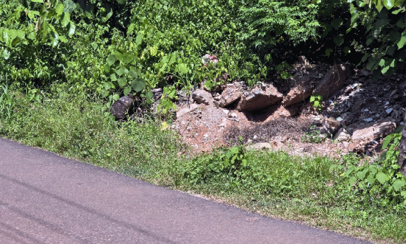 കോ​ൺ​ക്രീ​റ്റ് അ​വ​ശി​ഷ്ടം മാറ്റിയില്ല; ഇവിടെ ഇഴജന്തുക്കൾ വാഴുന്നു