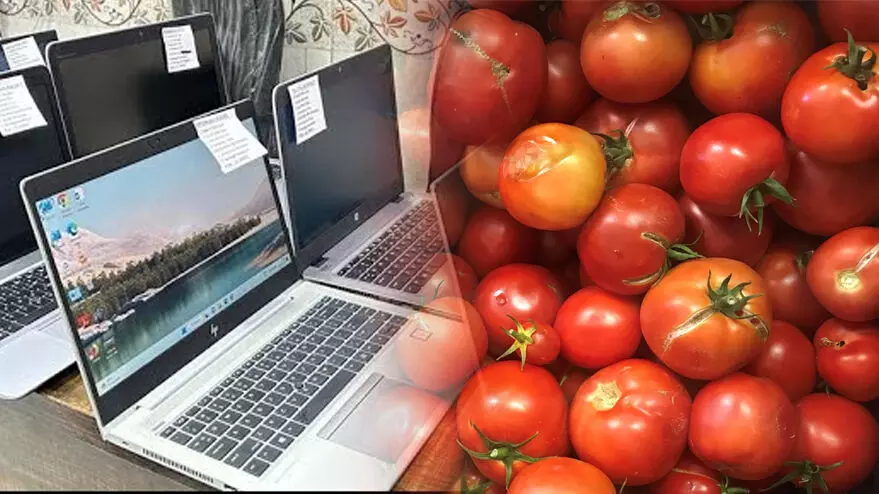 തക്കാളി കൃഷി നഷ്ടമായി; ഓഫീസിൽനിന്ന് 57 ലാപ്ടോപ്പുകൾ മോഷ്ടിച്ച് ടെക്കി